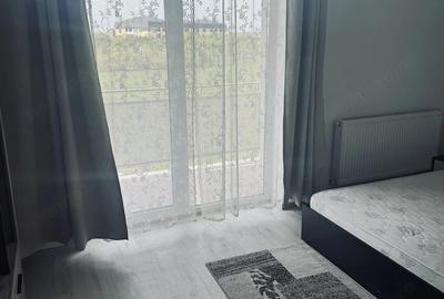 Garsonieră decomandată în Ciarda Roșie - 2