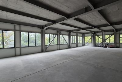 Spatiu comercial 225 mp utili - Basarabia - Muncii - 1