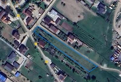 Teren de 5300 mp, în Viișoara - 3