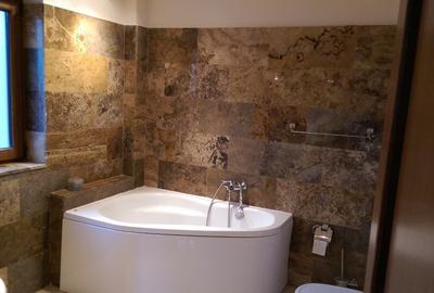 Vila de inchiriat - Pipera (cortina North) - Aviatiei - 16