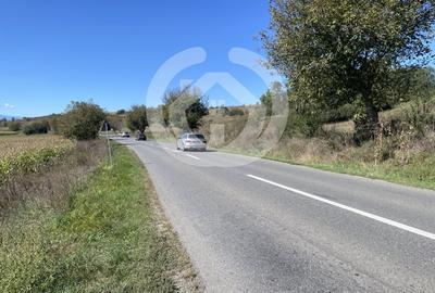 Teren Construcții intravilan de 1300 mp, în Cornățel - 1