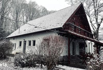 Casă cu 6 camere cu Teren 2000 Mp în Porumbacu de Jos - 15