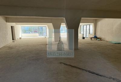 Spa?iu Comercial, 400 mp utili - zona Grivitei - 11