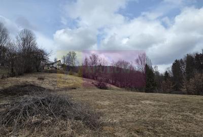 Teren Construcții intravilan de 2500 mp, în Valea Doftanei - 1