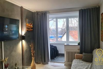 Apartament cu 2 camere,  renovat, etaj 2,  strada Iza - cu loc de parcare - 1