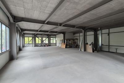 Spatiu comercial 225 mp utili - Basarabia - Muncii - 2