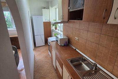 Garsonieră semidecomandată în Tilișca - 5