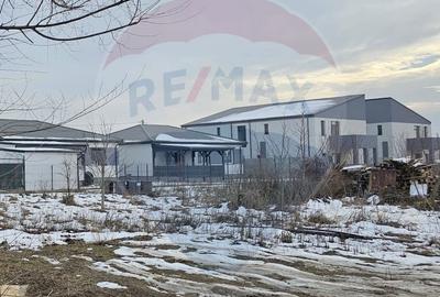 Spațiu comercial, în Domnești