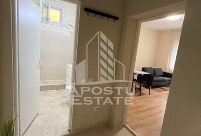 Apartament la casa 2 camere, 45 mp, parter, Girocului, petfriendly - 2