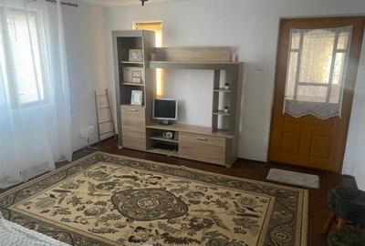 Casa traditionala cu teren generos la tara - Gorj, Șomanesti - 7