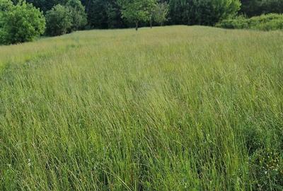 Spațiu comercial, în Biharia - 5