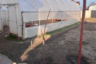 Casă cu 5 camere în Plosca - 7