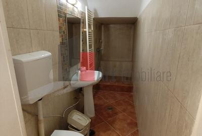 Casă individuală cu 4 camere cu Canalizare în Domenii - 20