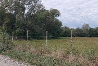 Teren de 4712 mp, în Dumbrăveni - 2