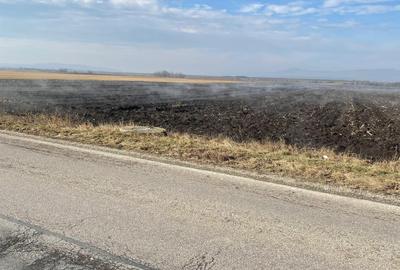 Teren de 50000 mp, în Hălchiu