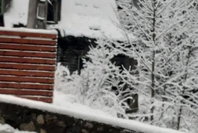 Teren în Lacu Roșu - 4
