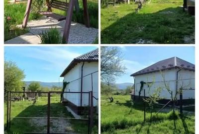 Casă cu 3 camere cu Teren 1600 Mp în Crâmpotani - 3