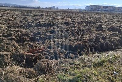 TEREN INTRAVILAN PENTRU CONSTRUCTIE BLOCURI-20000 MP, ZONA CALEA SURII MICI - 5