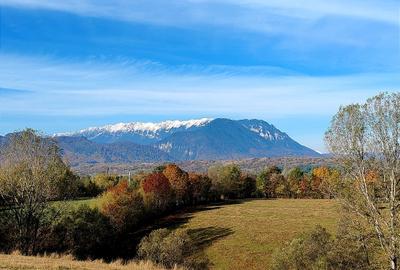 5800 mp fineata, pretabil camping, constructii A-frame, Sohodol, Bran - 14