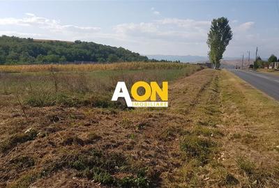 Teren Construcții intravilan de 2100 mp, în Periferie - 2