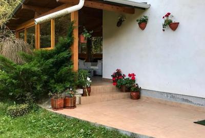 Casă cu 3 camere în Pojorâta - 9