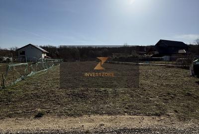 Teren de 700 mp, în Paleu - 2