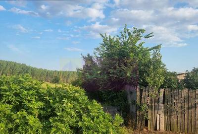 Se vinde teren 4200 mp in Teisori Giurgiu - 20