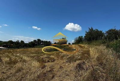 Casă cu 3 camere cu Canalizare în Secuieni - 17