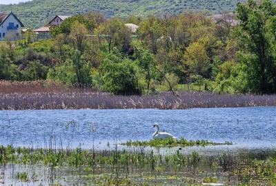 Teren cu deschidere la lac de vanzare in localitatea Somova Tulcea - 3