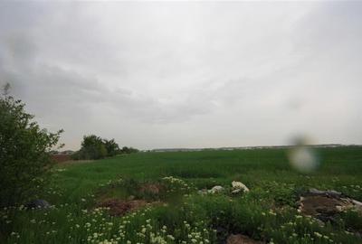 Teren 12500 mp, de vanzare, Tunari, negociabil Teren 12500 mp, de vanzare, Tunari, negociabil - 2