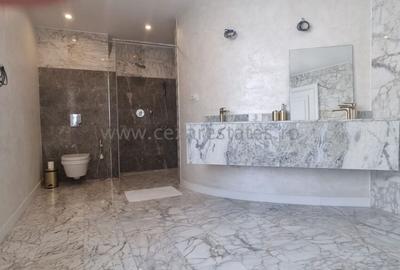 PIPERA IANCU NICOLAE VILA LUX RENOVATA COMPLET 2022 - 44