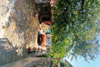 Casă cu 3 camere cu Teren 11000 Mp în Nadiș - 2