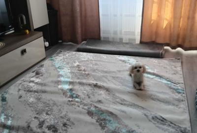 Apartament cu 4 camere decomandat în Pantelimon - 1