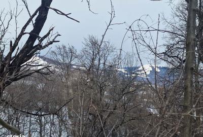 Teren de 12000 mp, în Ghioșești - 6