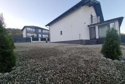 Casă cu 3 camere cu Teren 300 Mp în Remetea - 2