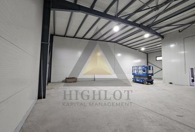 331MP Utili - INCHIRIERE HALA MODERNĂ | CHITILA - RUDENI  | ACCES A1-A0-CB - 19