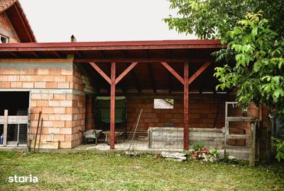 Casă cu Teren 3596 Mp în Pișchia - 17