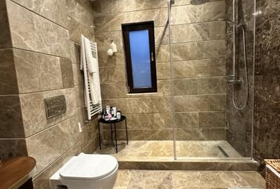 Vanzare Vila de lux cu piscina, foisor, terasa - Pipera-Tunari-Padurea Baneasa - 11