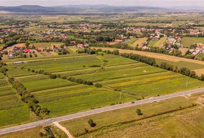 Teren extravilan Lunca Calnicului langa E574 - 3