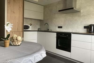 Apartament cu 2 camere semidecomandate Borhanci - 4