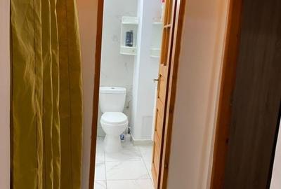 Apartament cu 2 camere decomandat, mobilat în Abator - 7