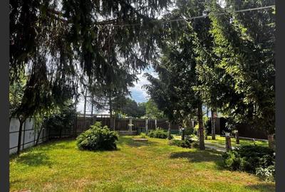 Villa for sale, 4 Rooms, 200 sqm, 4500 sqm, Cordun - 6