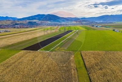 Teren 10,000mp Tarlungeni - 3