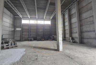 Spațiu industrial, de 3,478 mp, în Central - 5
