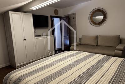 Casă individuală cu 10 camere cu Canalizare în Păltiniș - 24