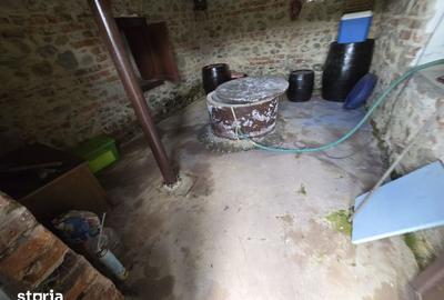 Casă cu 4 camere cu Teren 3450 Mp în Mușătești - 6