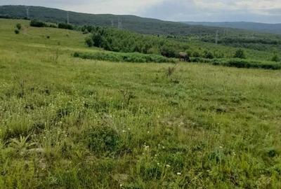 Teren de 100000 mp, în Central