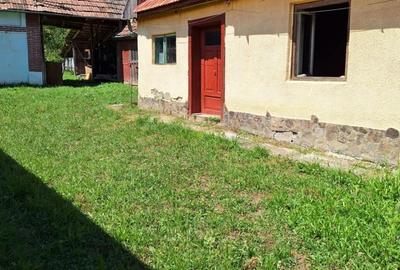 Apartament cu 4 camere în Tirimioara - 4