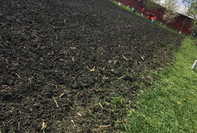 Casă individuală cu 5 camere cu Teren 4500 Mp în Viișoara