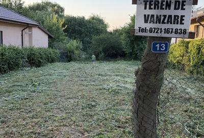 Spațiu comercial, în Lehliu